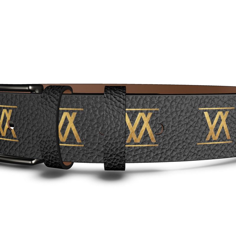 Vision Amplified | V+A Horizon Belt